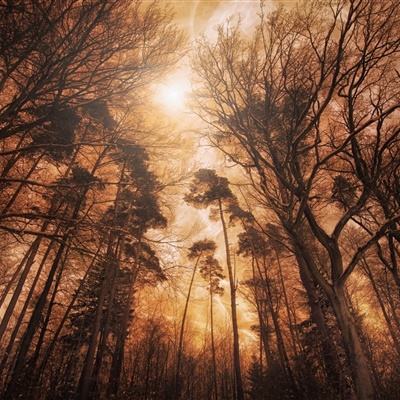 爱游戏全站APP下载手机app下载